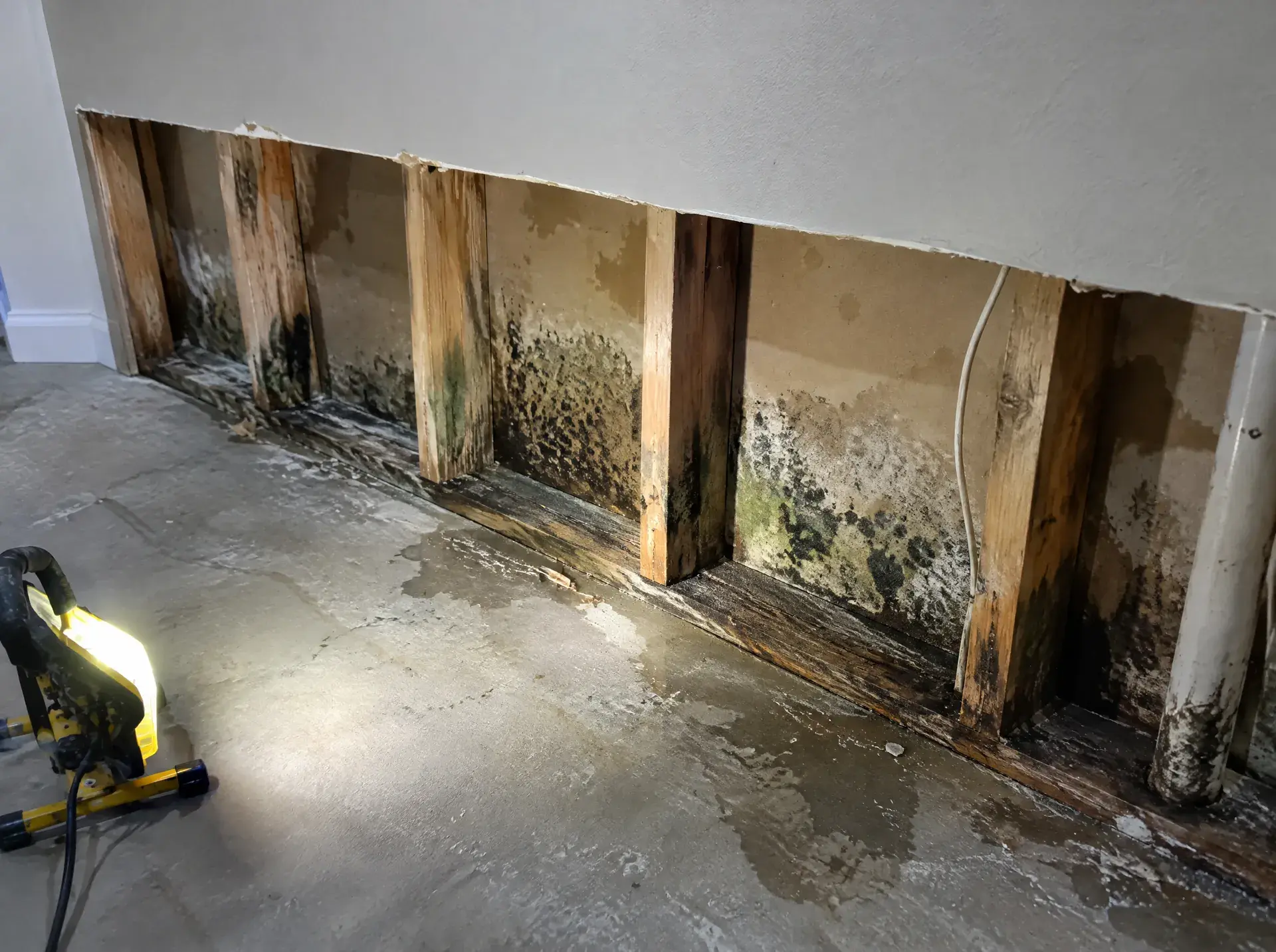 Before: Mold behind a finished basement wall